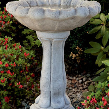 Flower Top Birdbath