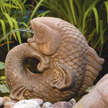 Curling Carp Plumbed