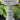 Quarry Stone Birdbath 24 inch
