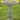 Victorian Fern Leaf Birdbath 28 inch