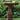 Chelsea Square Birdbath