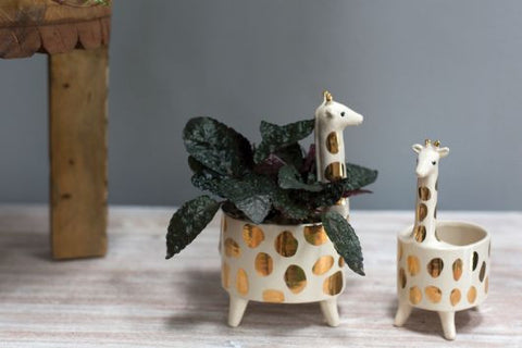 giraffe succulent pot Giraffe Planter 5"x 8.5" – Pike Nursery