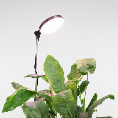 Adjustable Plant Light