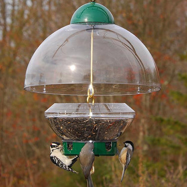 Droll Yankees® Big Top® Squirrel-Proof Bird Feeder with Adjustable Dome Cover