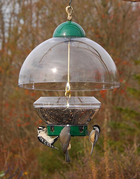 Droll Yankees® Big Top® Squirrel-Proof Bird Feeder with Adjustable Dome Cover
