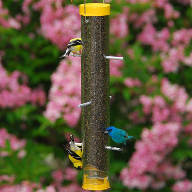 Droll Yankees® Bottoms Up® Yellow Finch Feeder - 16 inch