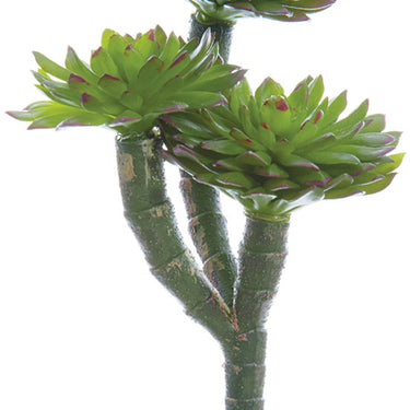 Faux Echeveria Pick Green/Burgundy - 7 inch