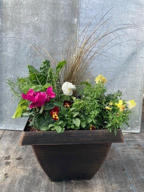 Blooming Combination Square Planter - 13 inch