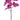 Faux Phalaenopsis Orchid Spray - 36 inch