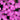Firewitch Pinks
