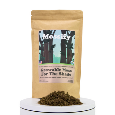 Growable Moss for Shade