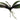 Faux Phalaenopsis Orchid Leaf Plant Green/Burgundy - 13 inch