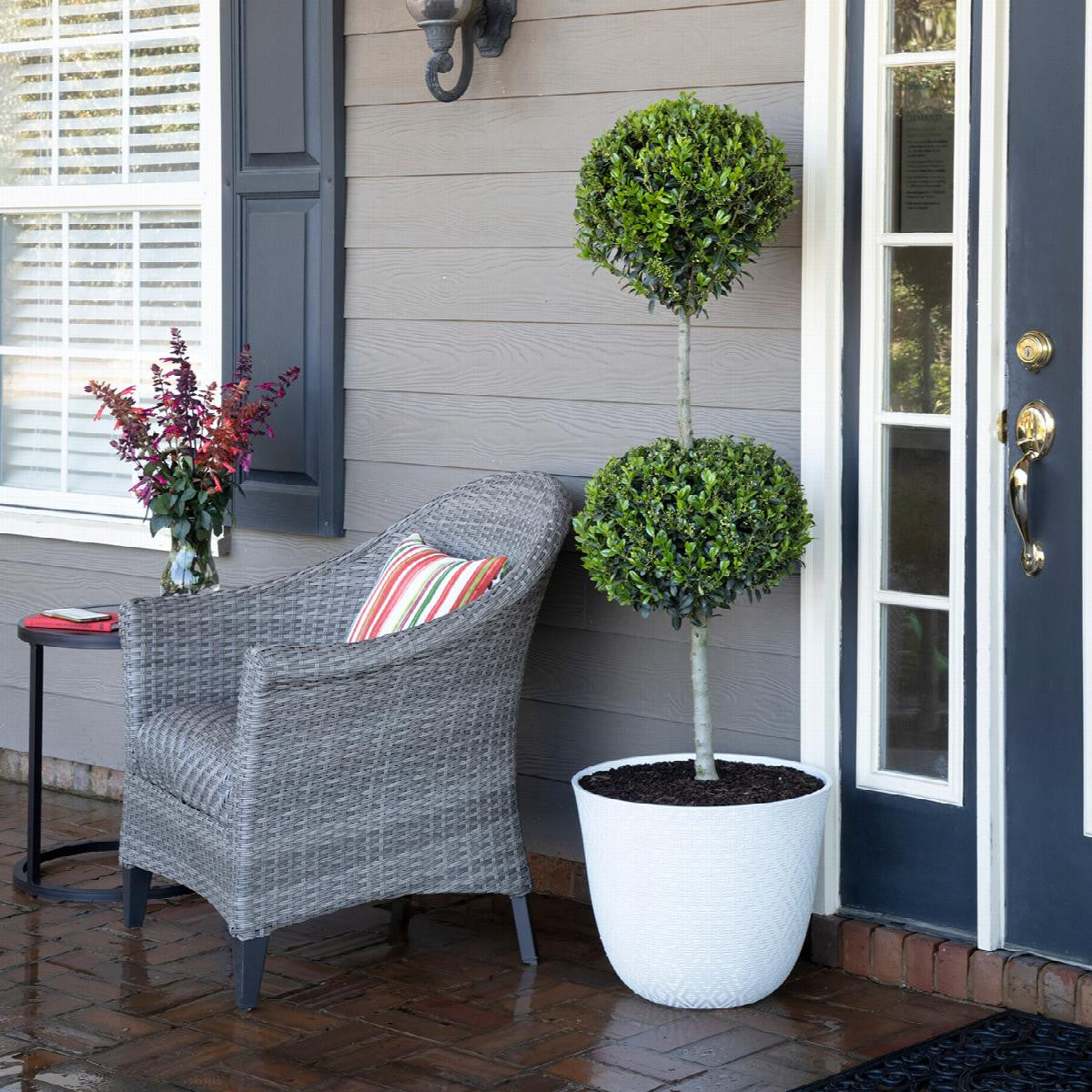 Emerald Colonnade 2 Ball Topiary – Pike Nursery