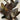 Raven ZZ Plant