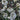 Pearlific™ Viburnum