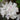 Encore® Autumn Lily Azalea