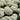 Incrediball® Hydrangea