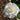 Cloud 10 Rose
