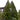 Yoshino Japanese Cedar