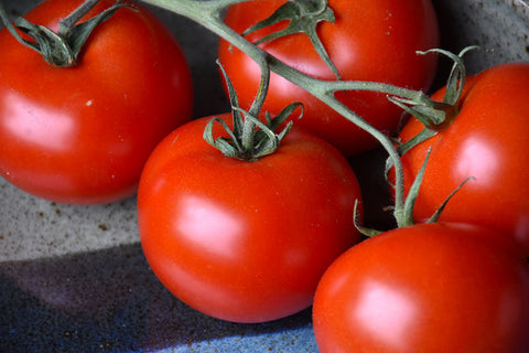 Slicer Tomato (Generic)