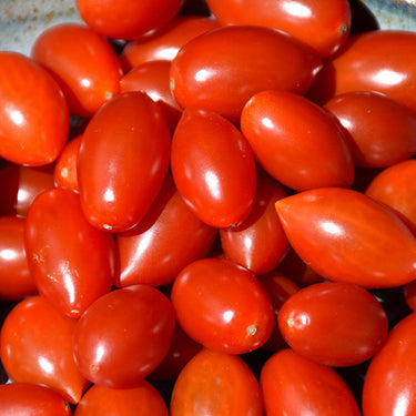 Red Grape Tomato