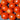 Sweet 100 Tomato
