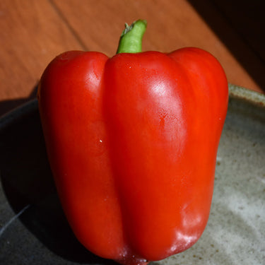 Better Bell Pepper