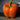 Orange Bell Pepper