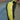 Hungarian Yellow Wax Sweet Pepper
