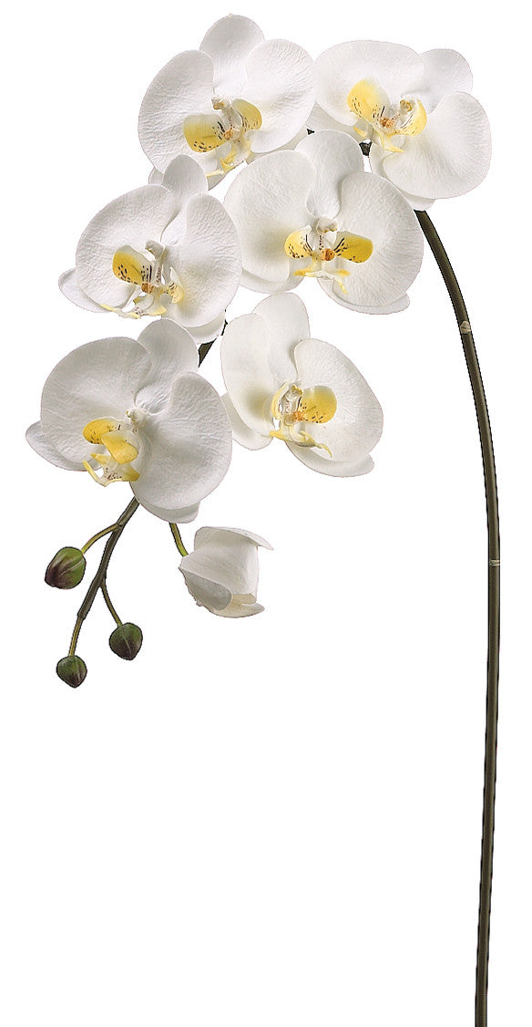 36 Inch Pike Faux Large Phalaenopsis Orchid Spray White/Yellow - 36 inch – Pike Nursery