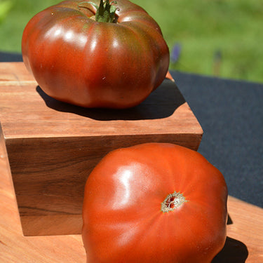 Brandywine Black Tomato