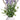 Faux Lavender in Ceramic Vase Purple/Lavender - 12 inch