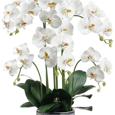 Faux Phalaenopsis Orchid Plant in Ceramic Vase Cream Green - 37 inch