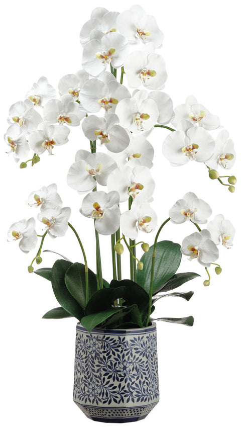 Faux Phalaenopsis Orchid Plant in Ceramic Vase Cream Green - 37 inch