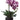 Faux Phalaenopsis Orchid Plant in Ceramic Pot Two Tone Violet - 20 inch