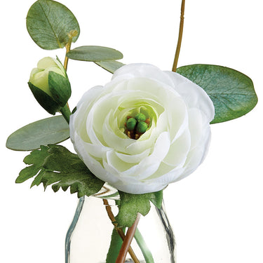 Faux Ranunculus & Eucalyptus in Glass Vase Cream - 5.5 inch
