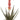 Faux Blooming Agave Plant in Cement Pot Green/Red - 30 inch