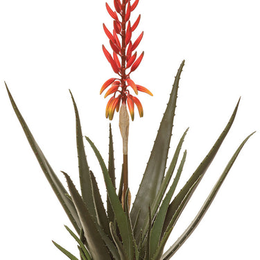 Faux Blooming Agave Plant in Cement Pot Green/Red - 30 inch