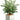 Faux Dieffenbachia Plant in Ceramic Pot Green Variegated - 17.75 inch