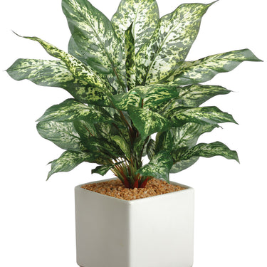 Faux Dieffenbachia Plant in Ceramic Pot Green Variegated - 17.75 inch