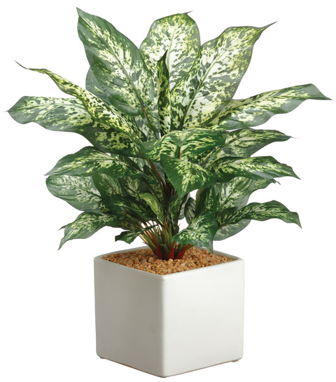 dieffenbachia faux plant Faux Dieffenbachia Plant in Ceramic Pot Green Variegated
