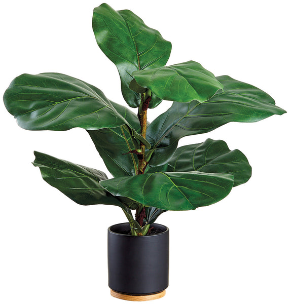 faux fiddle leaf fig tree in pot 20" Fiddle Leaf Plant in Ceramic Pot Green