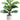 Faux Fiddle Leaf Plant in Ceramic Pot Green - 17 inch