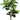 Faux Fiddle Leaf Plant in Plastic Pot Green - 56 inch