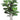Faux Fiddle Leaf Plant in Pot Green - 70 inch