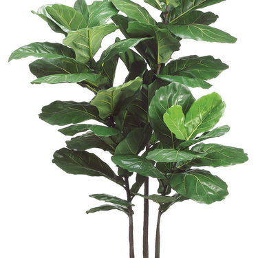 Faux Fiddle Leaf Plant in Pot Green - 70 inch