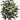 Faux Rubber Leaf Plant in Pot Variegated - 39 inch