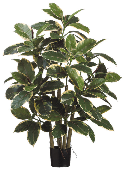 Faux Rubber Leaf Plant in Pot Variegated - 39 inch