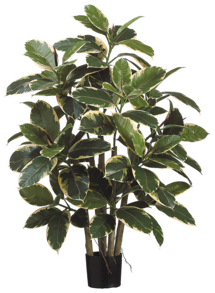 Allstate Artificial Variegated Rubber Leaf Potted Plant