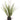Faux Cattail Grass With Soil White/Green - 15 inch